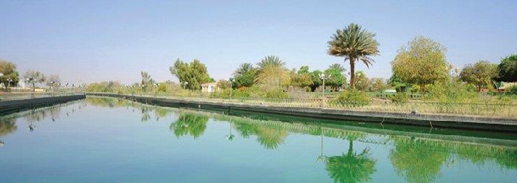 One To One Hotel & Resort Ain Al Faida Al Ajn Exteriér fotografie